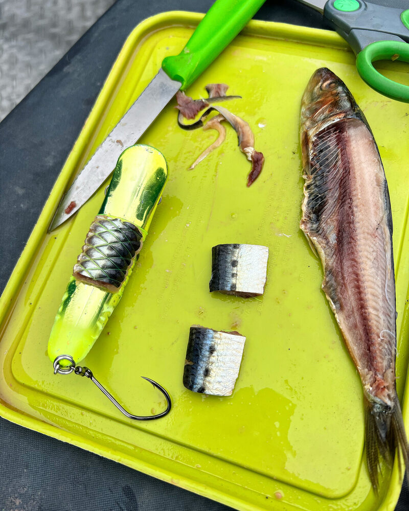 Fresh-cut bait and a wrapped plug on the cutting board