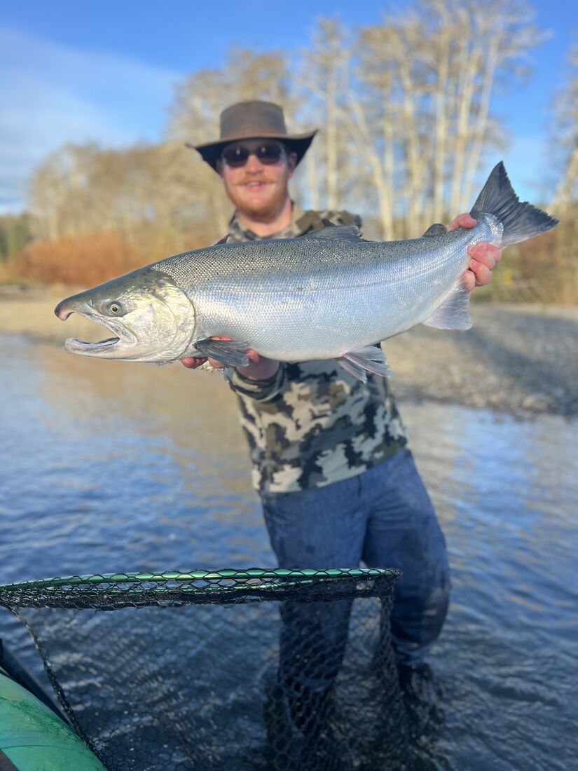 Angler holding a large silver salmon on a gravel bar
